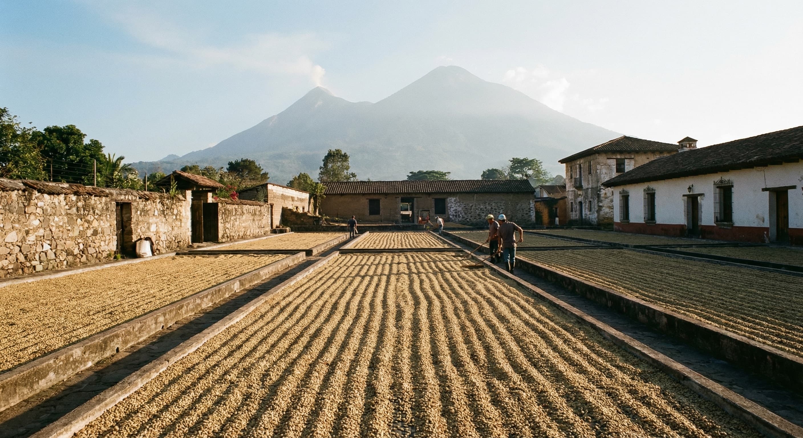 Guatemalan coffee farmers in training